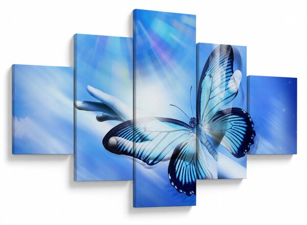 Obraz - Motyl, symbol nadziei (125x70 cm)