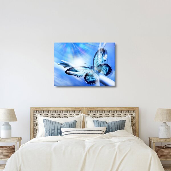 Obraz - Motyl, symbol nadziei (70x50 cm)