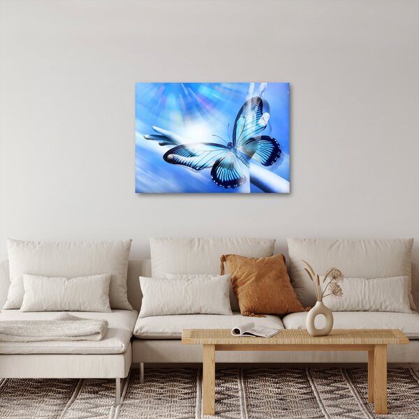 Obraz - Motyl, symbol nadziei (70x50 cm)