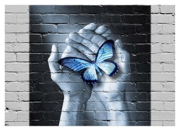 Obraz - Motyl na ścianie (70x50 cm)