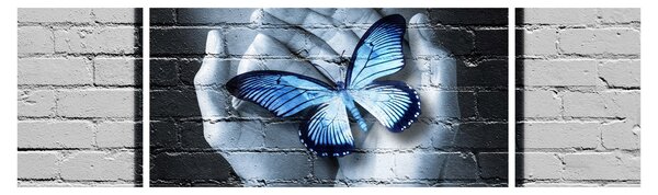 Obraz - Motyl na ścianie (170x50 cm)