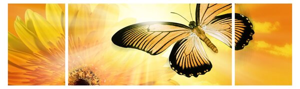 Obraz - Żółty motyl z kwiatkiem (170x50 cm)