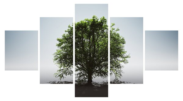 Obraz - Samotne drzewo (125x70 cm)