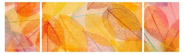Obraz - Tło z jesiennych liści (170x50 cm)