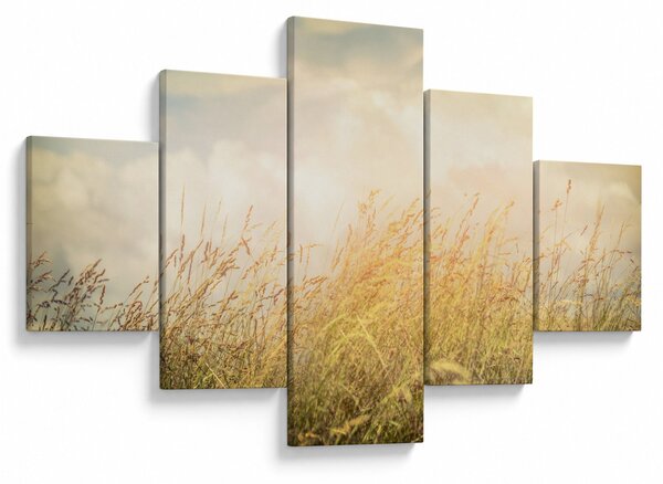 Obraz - Pole jesienią (125x70 cm)