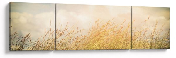 Obraz - Pole jesienią (170x50 cm)