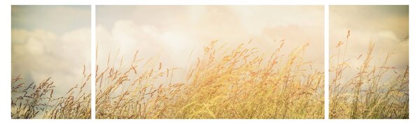 Obraz - Pole jesienią (170x50 cm)