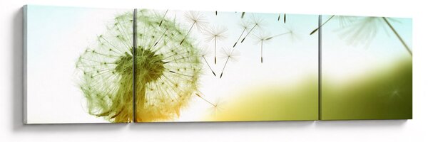 Obraz - Dmuchawiec na wietrze (170x50 cm)