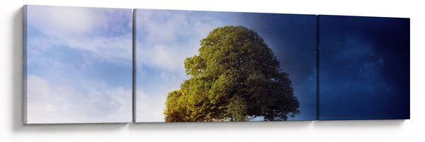 Obraz - Dzień i noc (170x50 cm)
