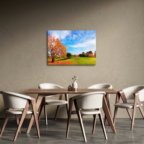 Obraz - Jesienny krajobraz (70x50 cm)