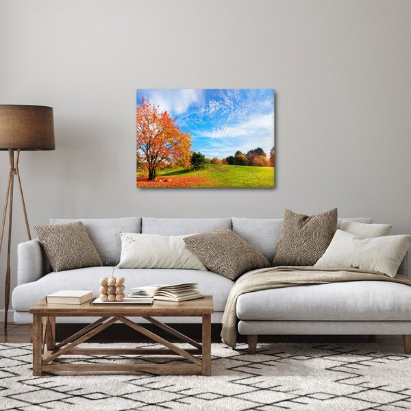 Obraz - Jesienny krajobraz (70x50 cm)