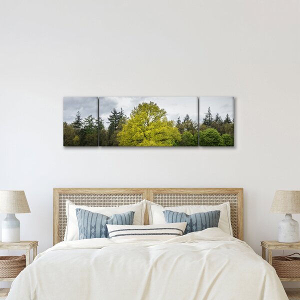 Obraz zielonego drzewa na środku pola (170x50 cm)