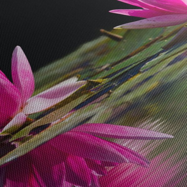 Obraz lilii wodnych na wodzie (125x70 cm)
