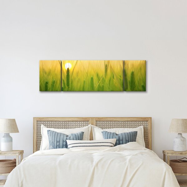 Obraz pola ze zbożem (170x50 cm)
