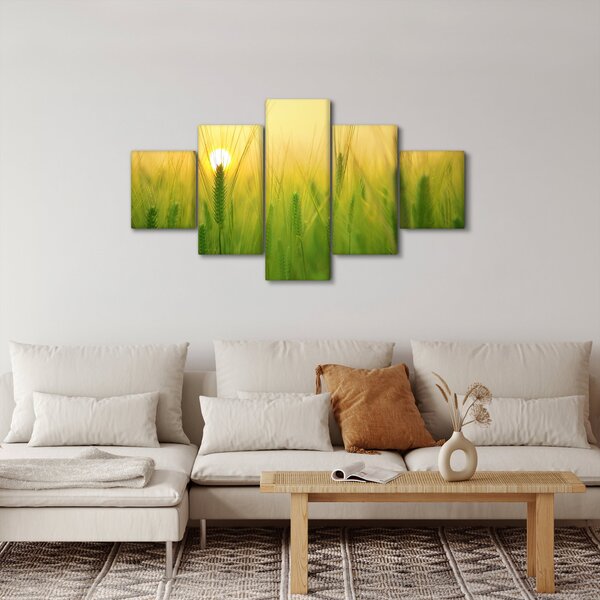 Obraz pola ze zbożem (125x70 cm)