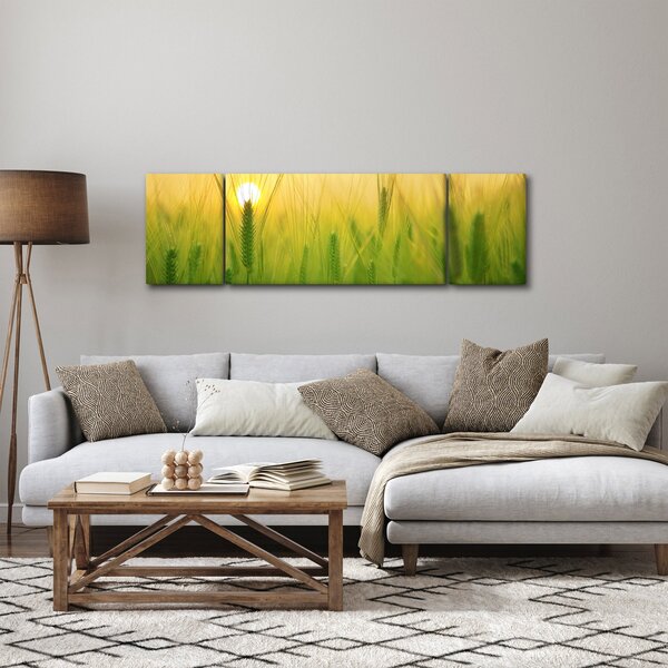 Obraz pola ze zbożem (170x50 cm)
