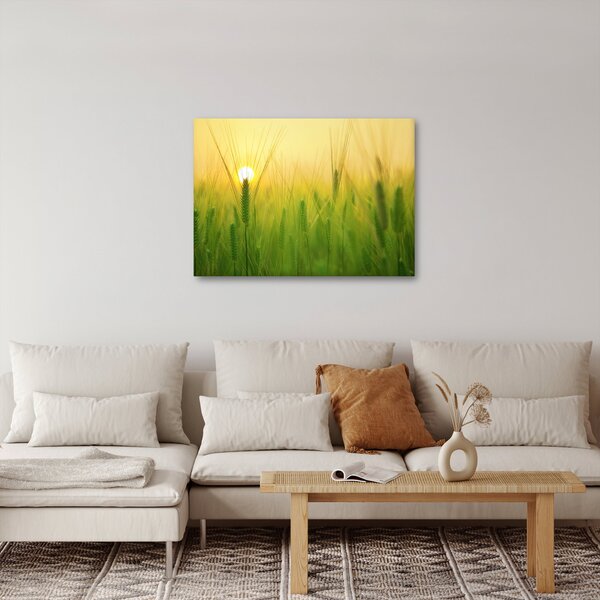 Obraz pola ze zbożem (70x50 cm)