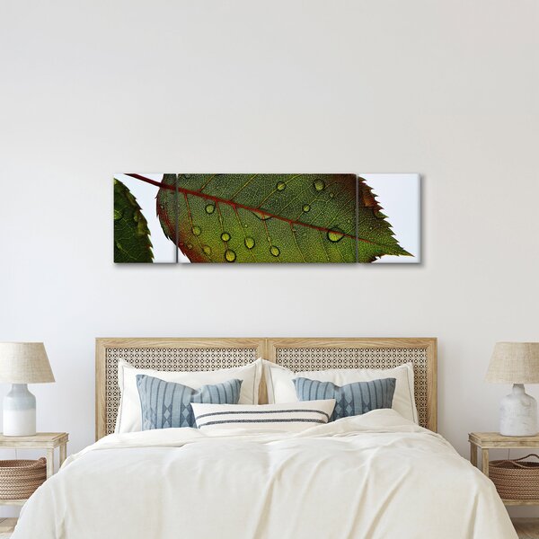 Obraz - Liść róży (170x50 cm)