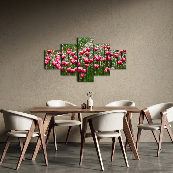 Obraz tulipanów (125x70 cm)