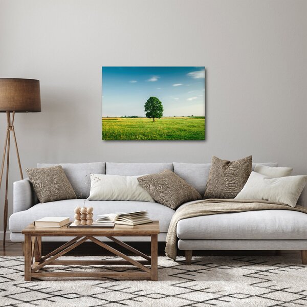 Obraz drzewa na środku łąki (70x50 cm)