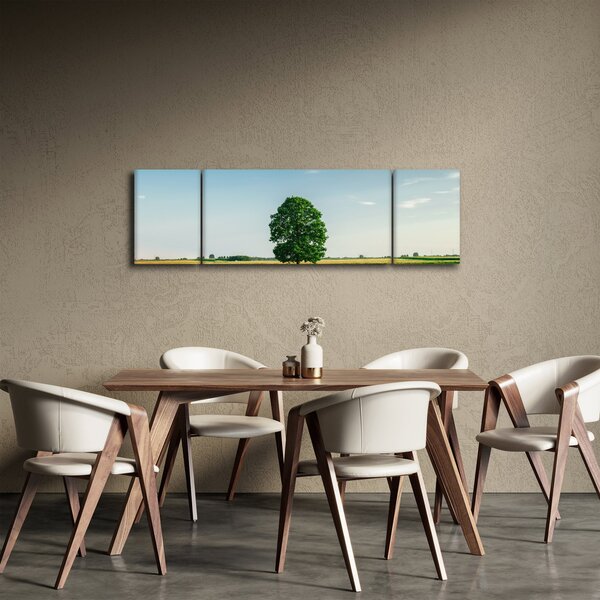 Obraz drzewa na środku łąki (170x50 cm)