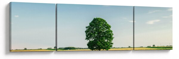 Obraz drzewa na środku łąki (170x50 cm)