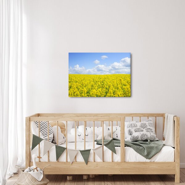 Obraz żółtego pola (70x50 cm)