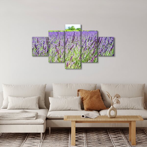 Obraz pola z lawendą (125x70 cm)