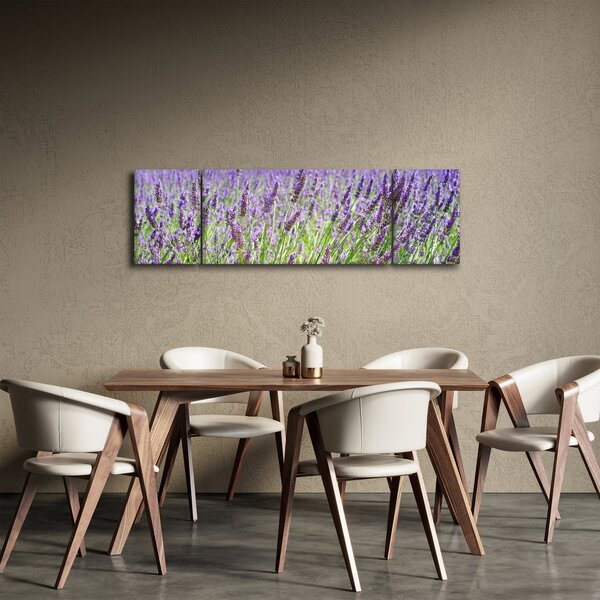 Obraz pola z lawendą (170x50 cm)