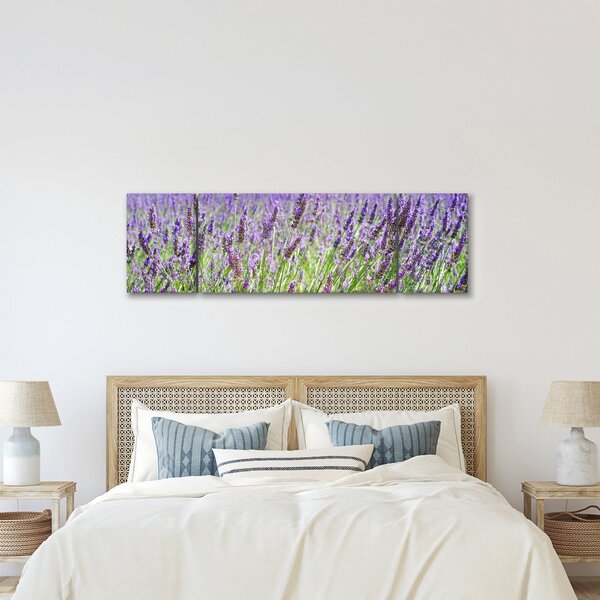 Obraz pola z lawendą (170x50 cm)