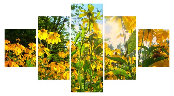 Obraz żółtych kwiatów (125x70 cm)