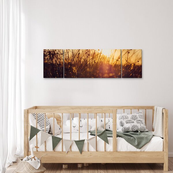Obraz pola o zachodzie słońca (170x50 cm)