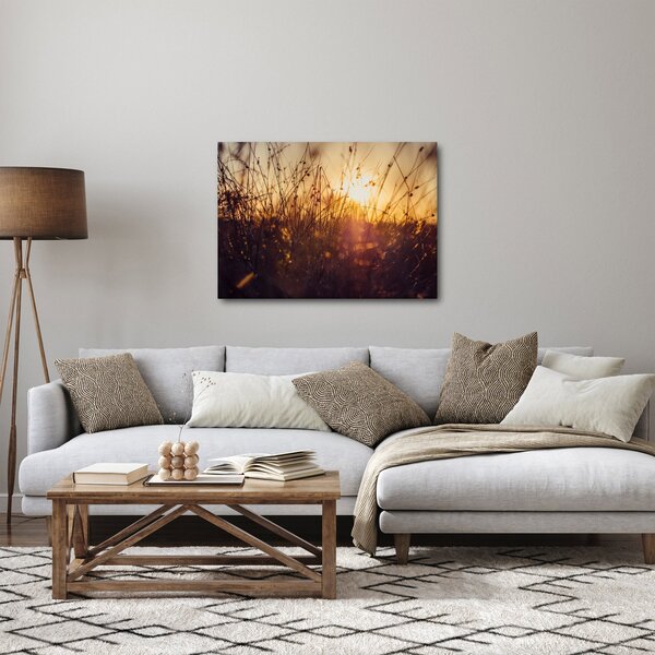 Obraz pola o zachodzie słońca (70x50 cm)