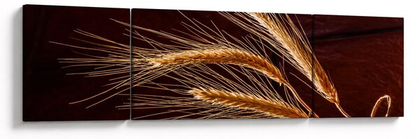 Obraz - Fragment kłosa żyta (170x50 cm)