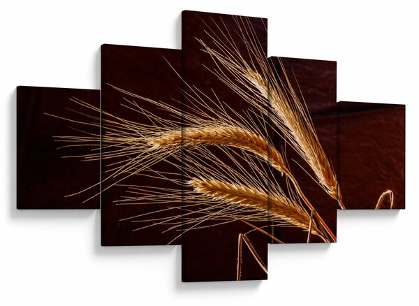 Obraz - Fragment kłosa żyta (125x70 cm)