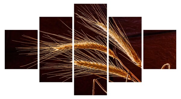 Obraz - Fragment kłosa żyta (125x70 cm)