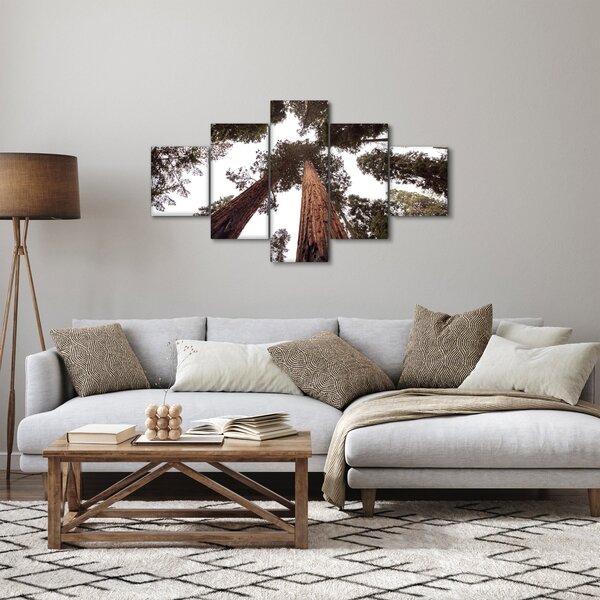 Obraz - Widok przez korony drzew (125x70 cm)