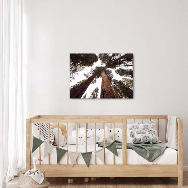 Obraz - Widok przez korony drzew (70x50 cm)