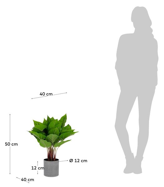 Sztuczny kwiat Toulitka Kave Home, wys. 50 cm