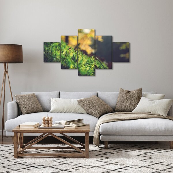 Obraz mchu z grzybem (125x70 cm)