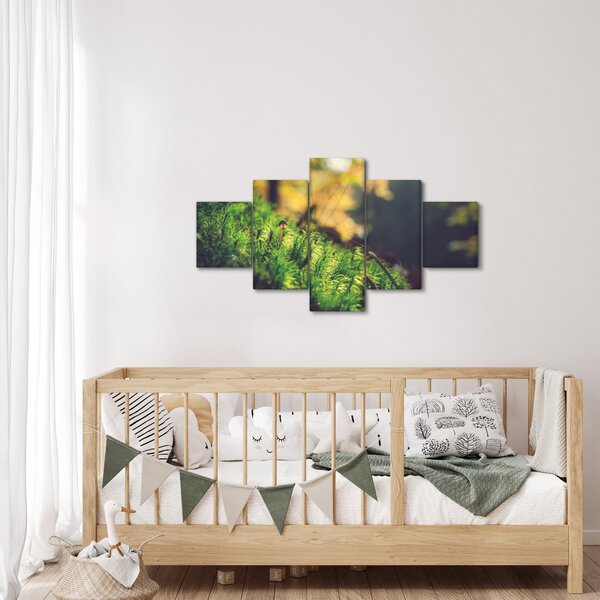 Obraz mchu z grzybem (125x70 cm)