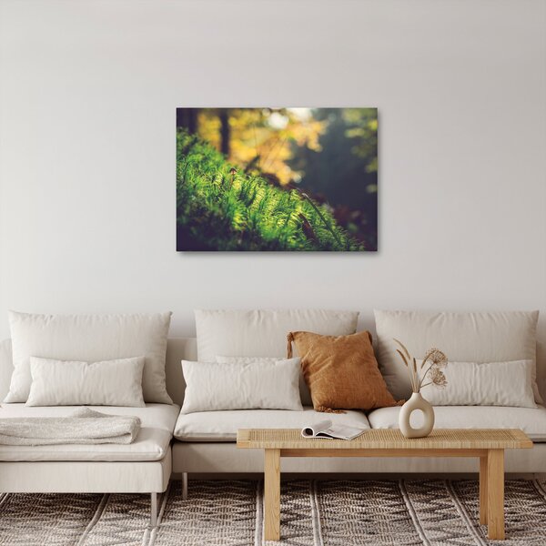 Obraz mchu z grzybem (70x50 cm)