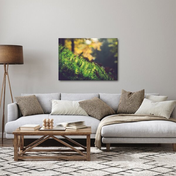 Obraz mchu z grzybem (70x50 cm)