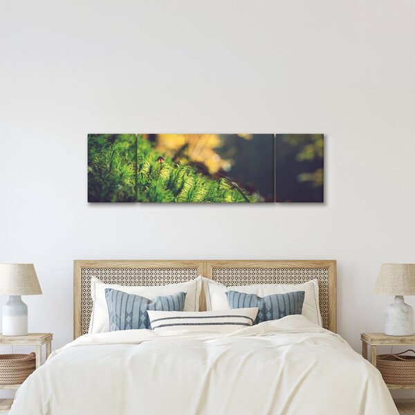 Obraz mchu z grzybem (170x50 cm)