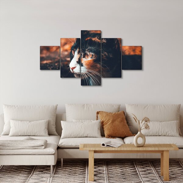 Obraz - Spojrzenie kota (125x70 cm)