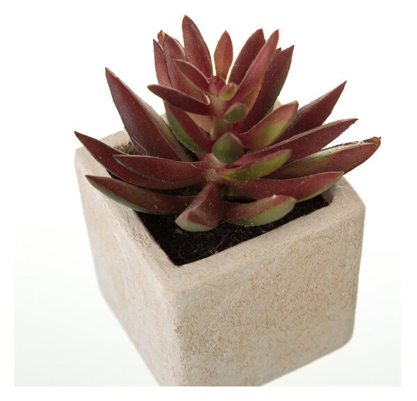 Sztuczne rośliny zestaw 6 szt. (wysokość 9,5 cm) Cactus – Casa Selección