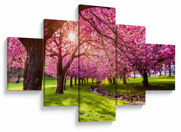 Obraz kwitnących czereśni, Hurd Park, Dover, New Jersey (125x70 cm)