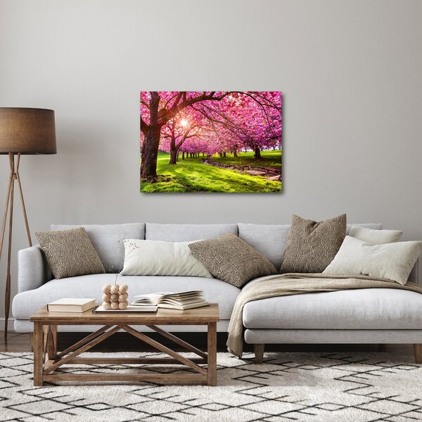 Obraz kwitnących czereśni, Hurd Park, Dover, New Jersey (70x50 cm)