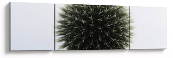 Obraz kuli kwiatowej (170x50 cm)
