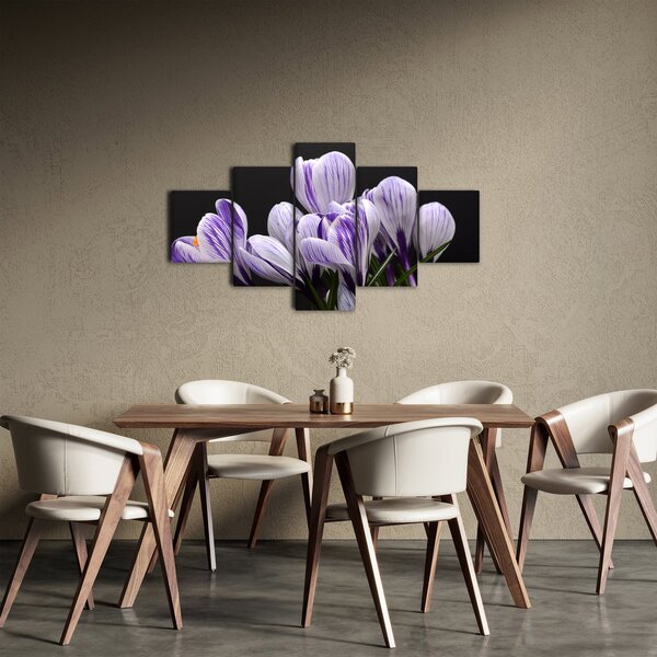 Obraz - Fioletowe krokusy (125x70 cm)